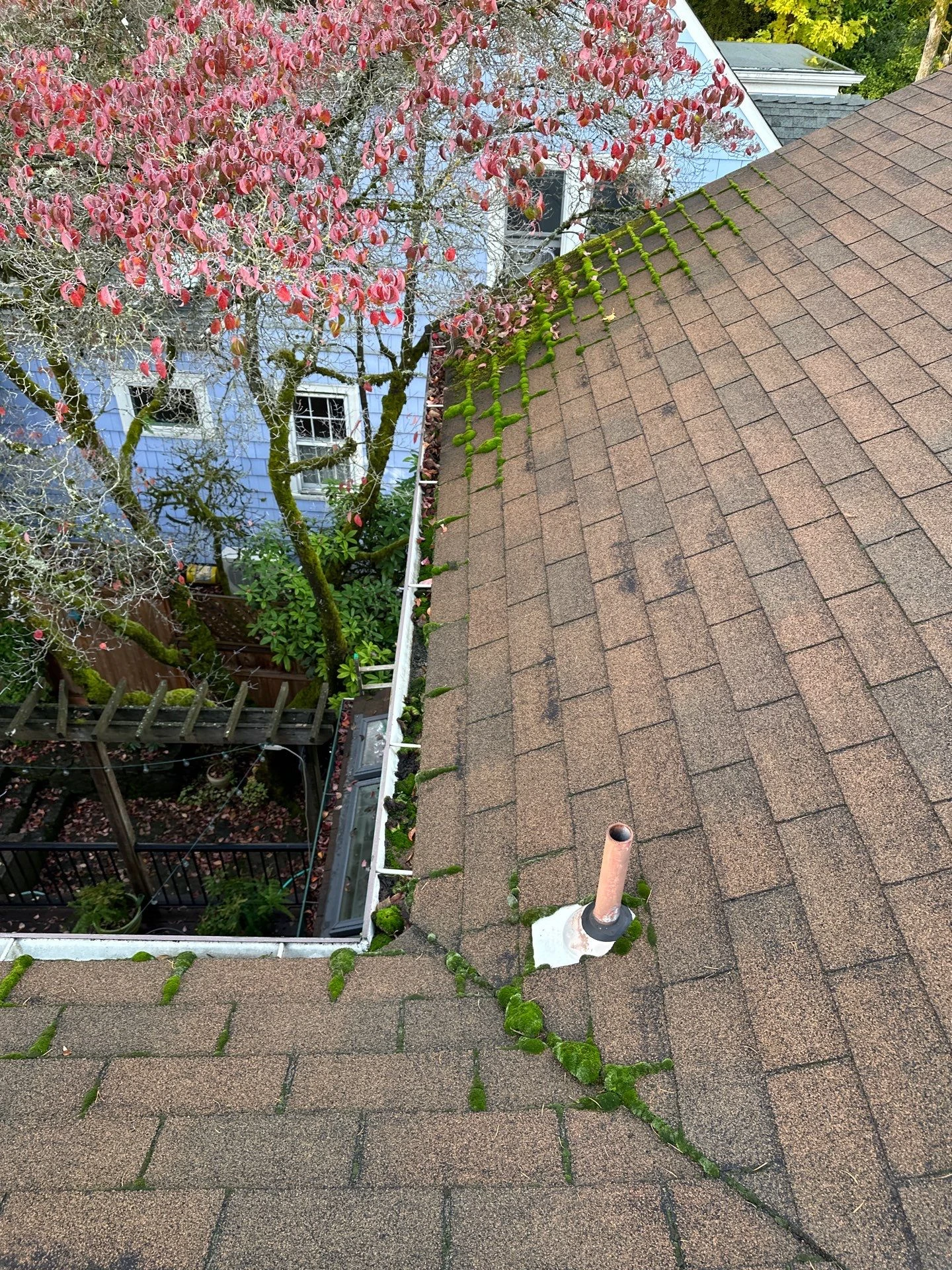 Clogged gutters before professional cleaning