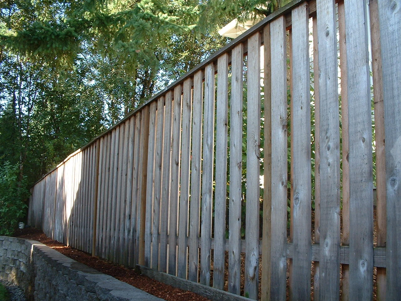 Wood fence before pressure washing