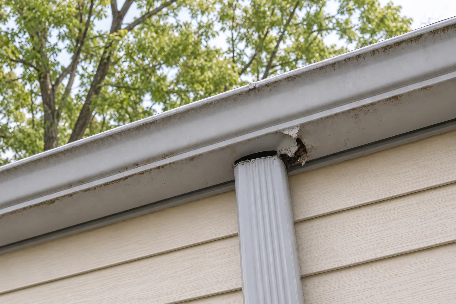 Damaged gutter in need of repair