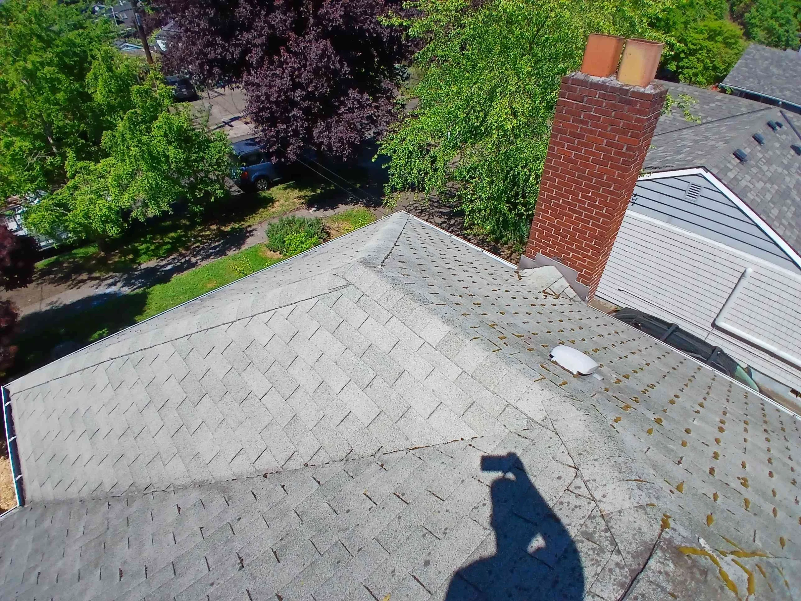 Roof with moss buildup before cleaning