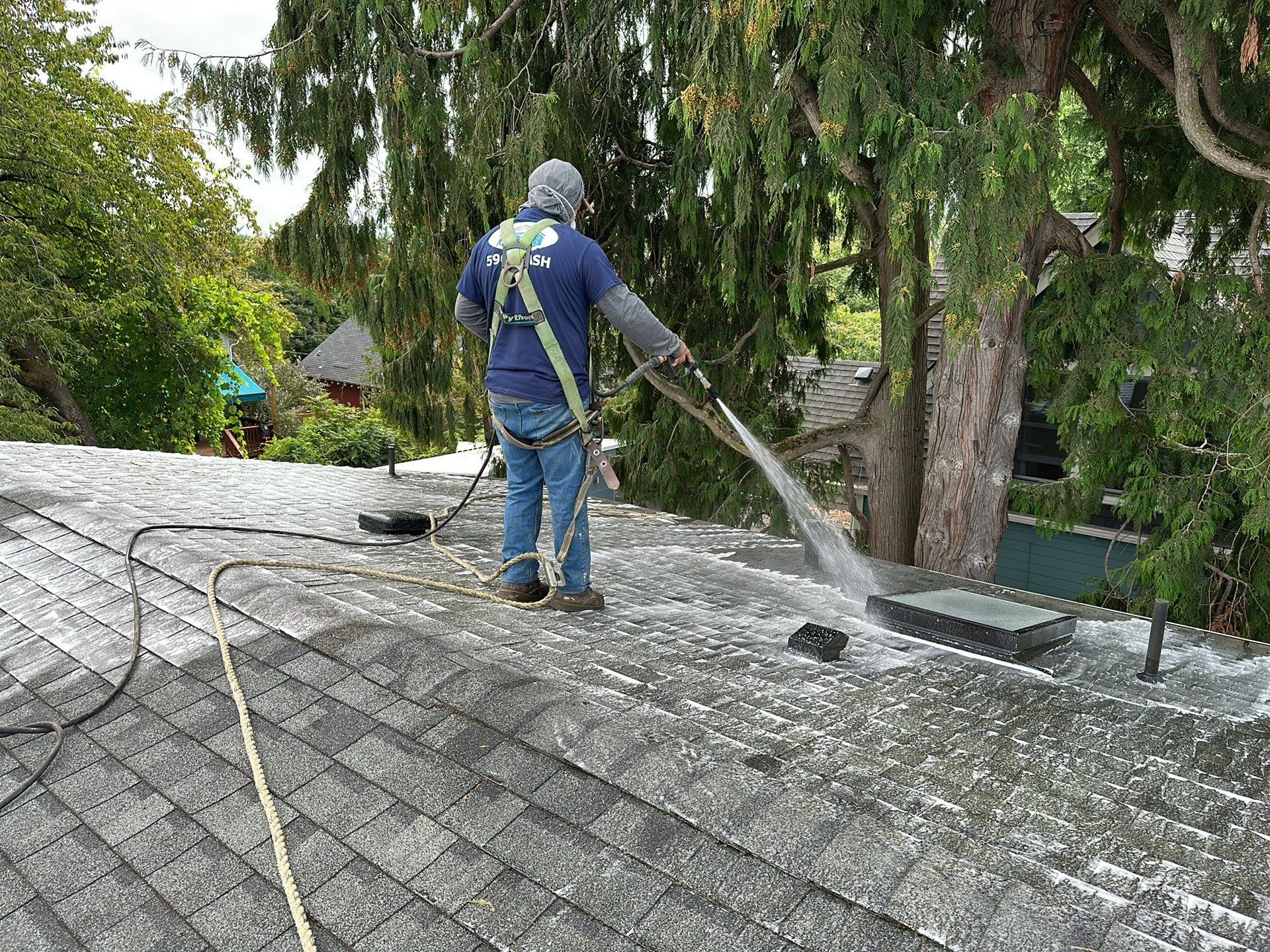 Soft wash roof cleaning in progress