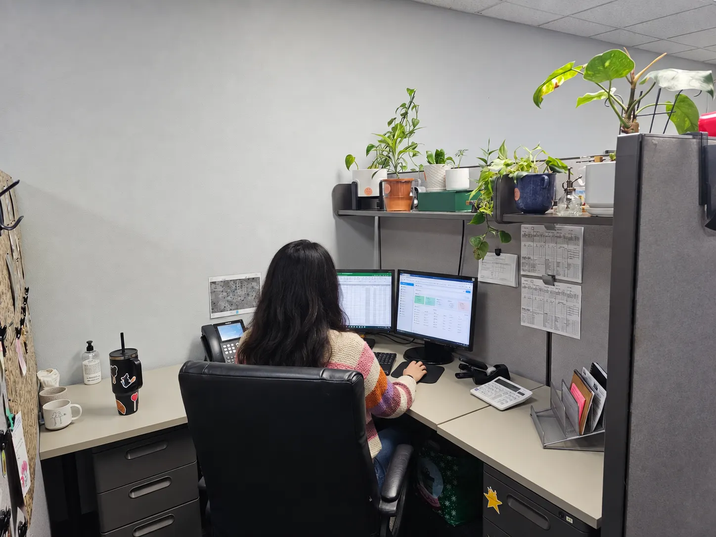 All Surface Cleaning office team at work