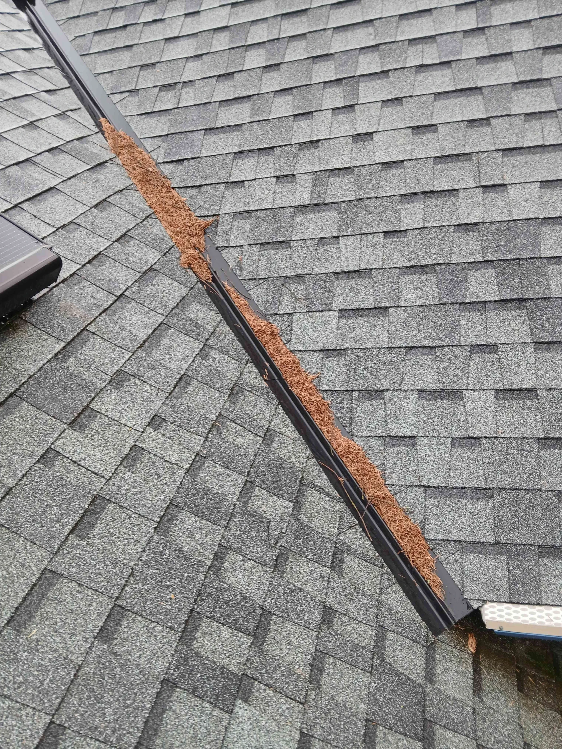 Roof valley with debris before cleaning